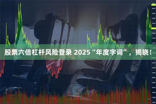 股票六倍杠杆风险登录 2025“年度字词”，揭晓！